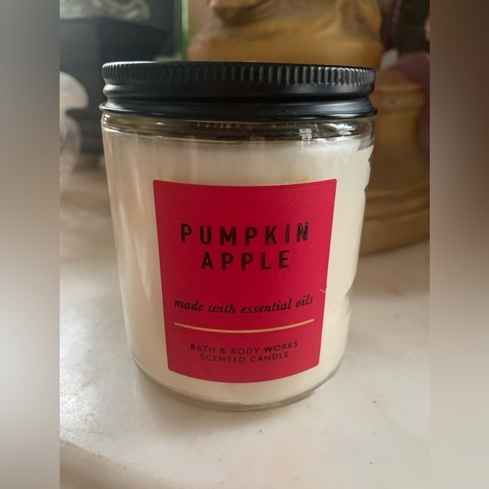 Bath and Body Works Pumpkin Apple Single Wick Candle